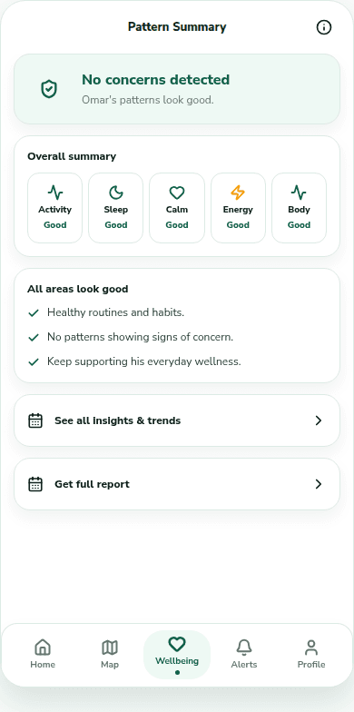 Panda Parent pattern detail screen explaining a wellbeing signal with next steps.